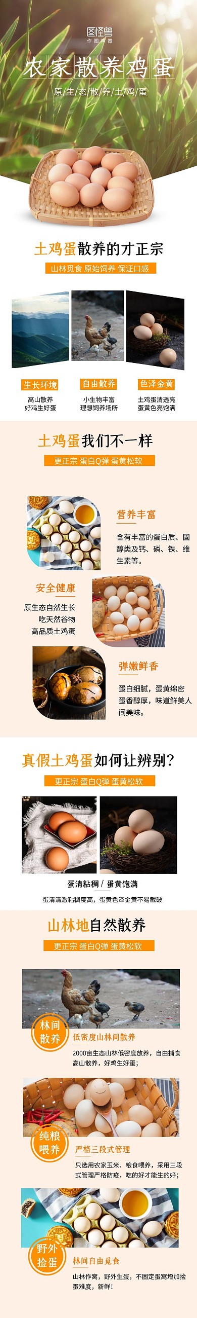 山林鸡蛋电商食品散养鸡蛋简约详情页