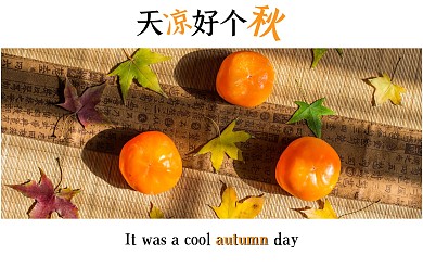 秋天柿子摄影美图明信片