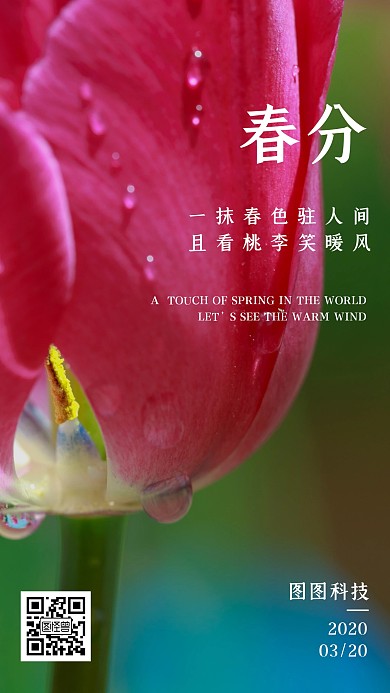 春分二十四节气实景海报