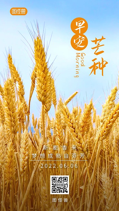 二十四节气早安芒种语录简约摄影图海报