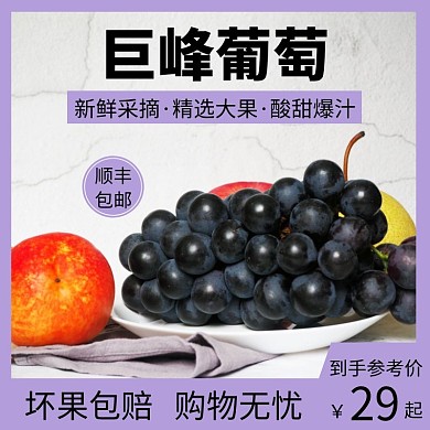 大气紫色巨峰葡萄直通车主图
