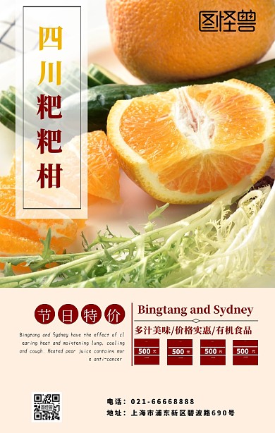 四川粑粑柑黄色简约海报