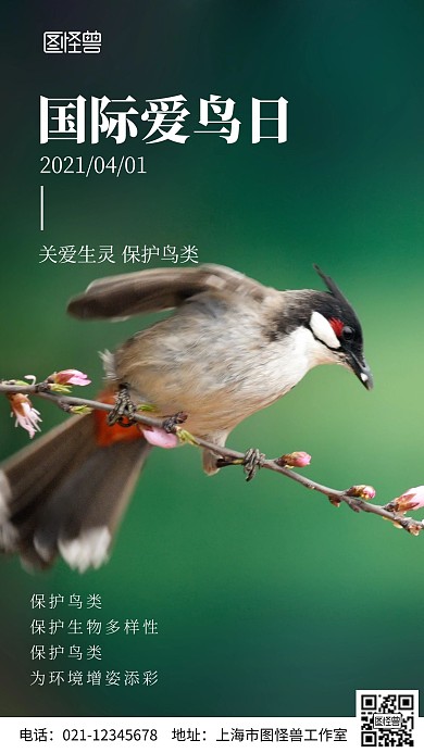 摄影图国际爱鸟日手机海报
