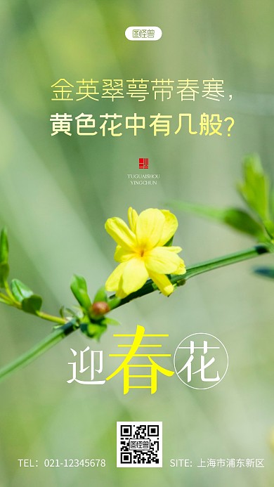 清新绿色迎春花风景诗句摄影图海报