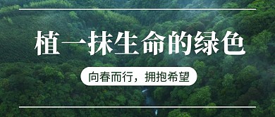 植树森林绿色公益环保摄影图公众号首图