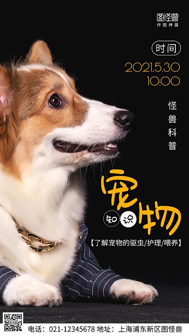 摄影图宠物知识科普黑色简约风手机海报