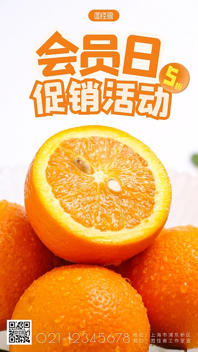 会员日促销简约简洁摄影图海报
