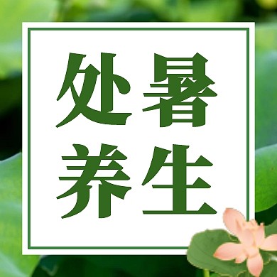 处暑养生绿色简约大气公众号封面次图