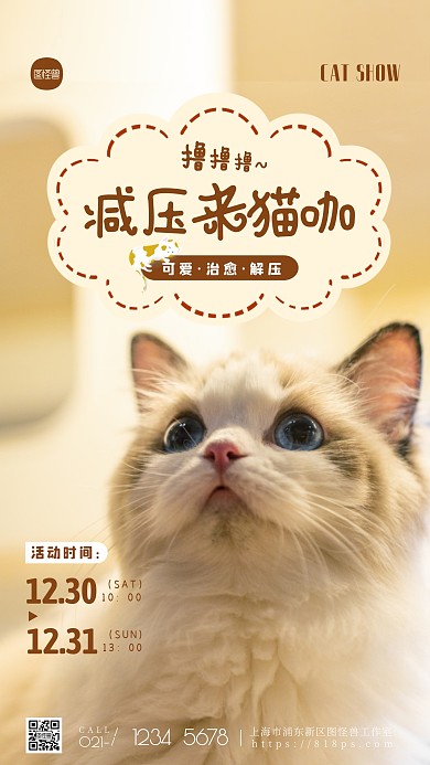 可爱撸猫减压活动时间通知宣传摄影图海报