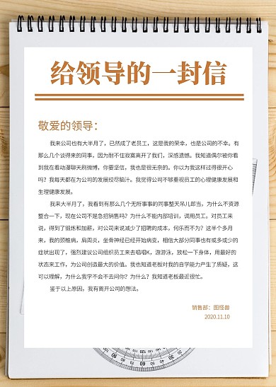 简约创意文艺给领导的信信纸