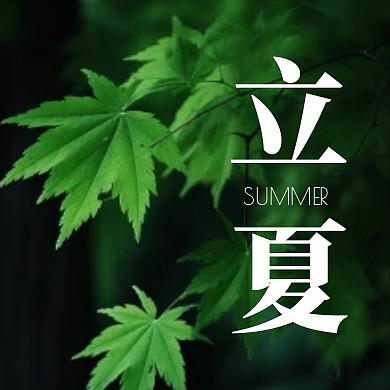 绿色立夏节气祝福公众号封面次图