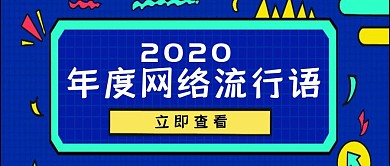 简约蓝色年度网络流行语公众号首图