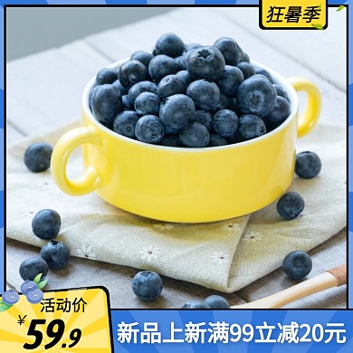 狂暑季蓝莓水果促销活动创意主图直通车