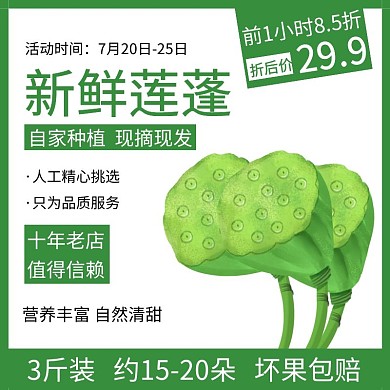 简约绿色新鲜莲蓬直通车主图