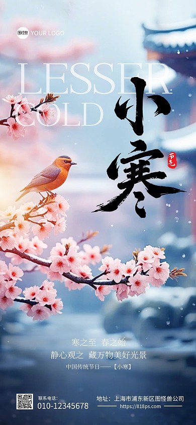 小寒节气问候唯美氛围全屏海报