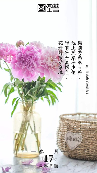牡丹芍药简约文字早安日签