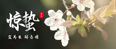摄影风桃花樱花惊蛰节气公众号封面
