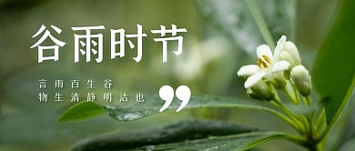 谷雨节气节日祝福公众号封面首图