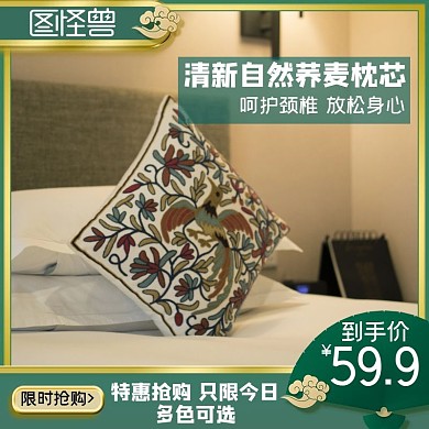 荞麦枕头复古古风绿色电商天猫主图直通车