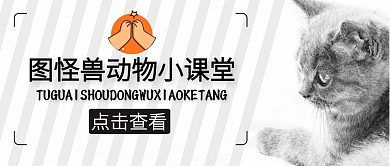 公众号封面动物小课堂宠物