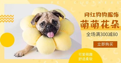 宠物服饰网红轮播图黄色电商banner