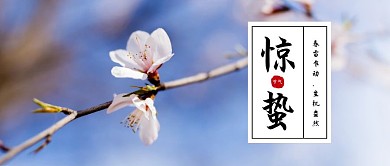 创意简约大气惊蛰节气公众号封面