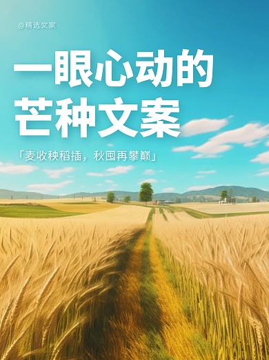 芒种传统节气文案宣传创意AIGC小红书