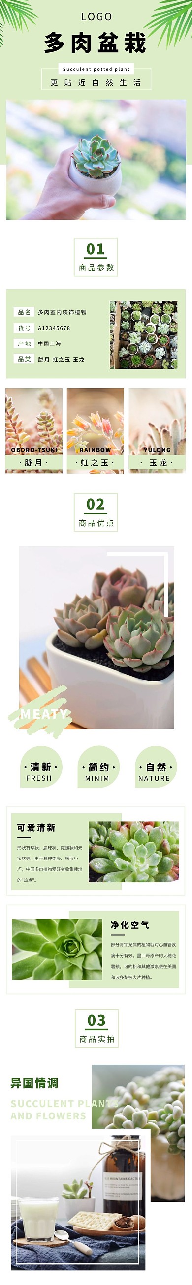 多肉盆栽清新几何绿色日用百货栽详情页