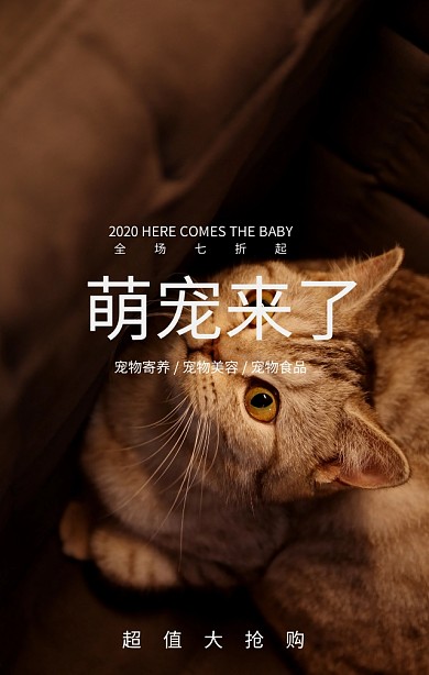 简约猫咪宠物促销手机海报