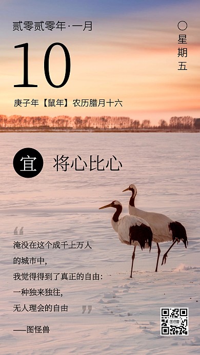 摄影风正能量心灵鸡汤日签