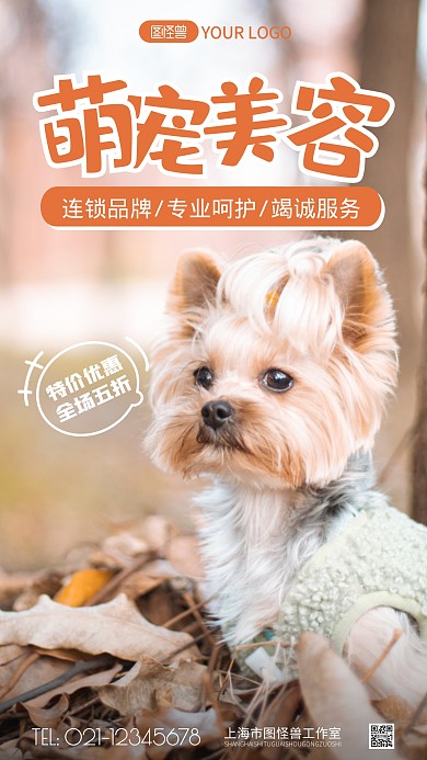 宠物美容萌宠服务宣传摄影图海报