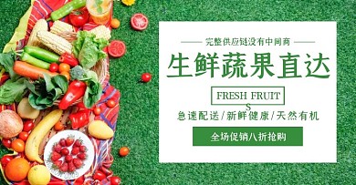 供应链生鲜蔬果促销简约绿色banner