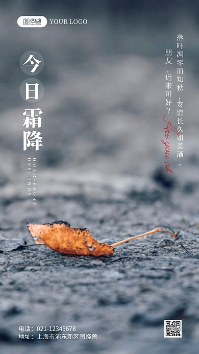 今日霜降简约风摄影图海报