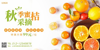 简约摄影水果橘子蜜桔横版秋季采摘横版海报