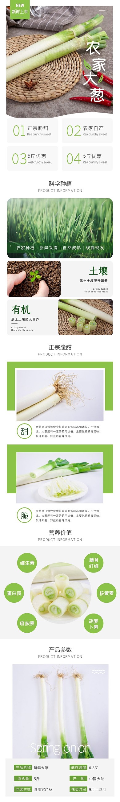 大葱简约几何绿色蔬菜食品详情页