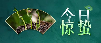 惊蛰节气问候春天实景绿色简约公众号首图