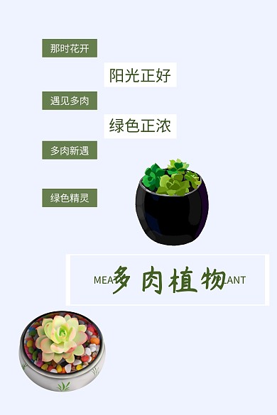 多肉植物公众号封面图模版