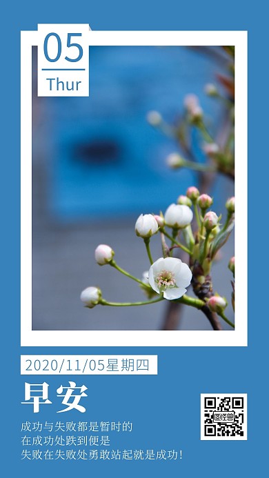 11.05早安简约蓝色植物日签