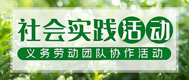 社会实践绿色简约微信公众号封面