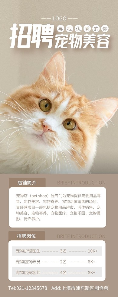 简约摄影风宠物美容招聘长图
