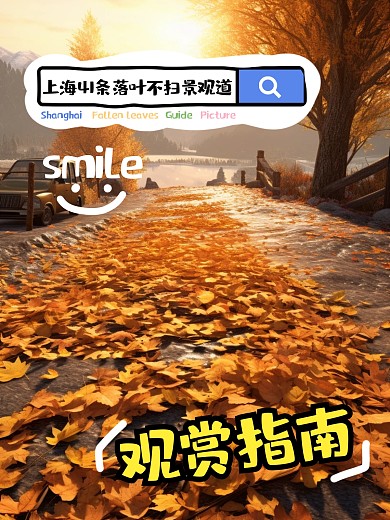 上海落叶观赏指南小红书封面