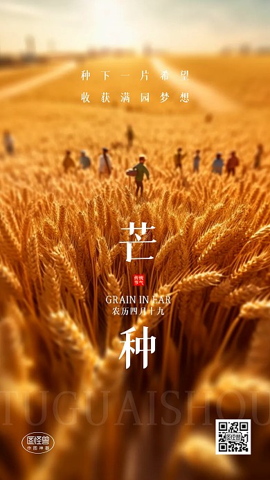 芒种传统节气问候祝福文艺日签3d海报