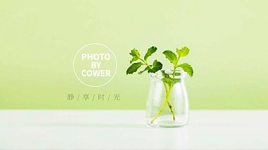 简约大气静物生活文艺极简风电脑桌面