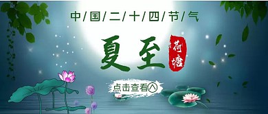 夏至荷塘简约绿色新媒体公众号封面首图
