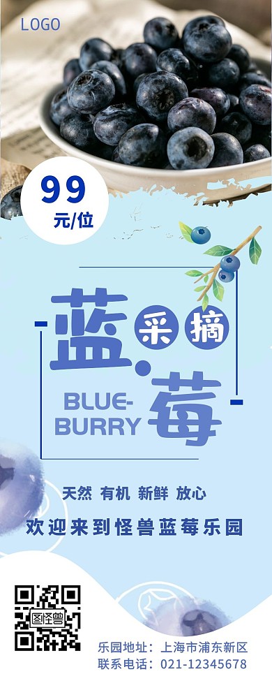 蓝莓采摘简约营销长图