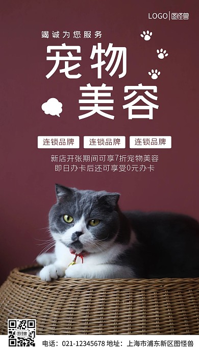 红色简约宠物美容服务摄影图海报