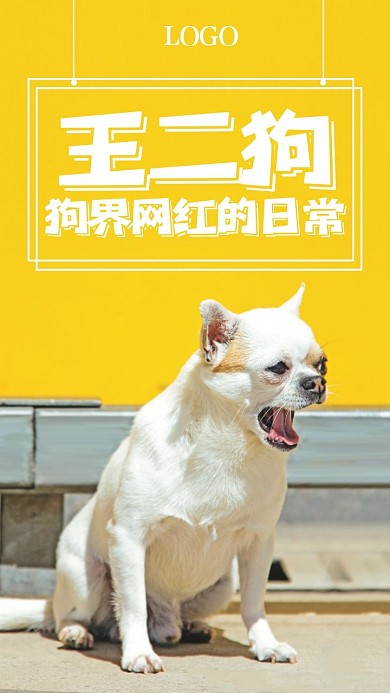 宠物萌宠趣味生活记录VLOG竖版视频封面