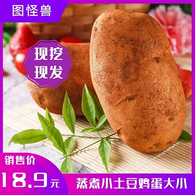 农作物土豆背景淘宝主图