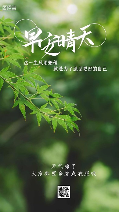 早安天气预报绿色摄影树叶日签