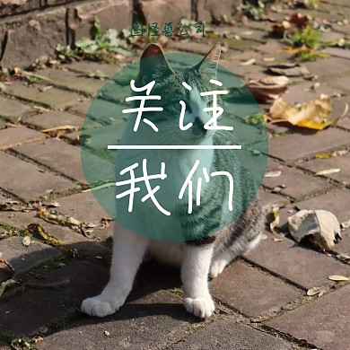 卡通动物小清新关注我们公众号配图 